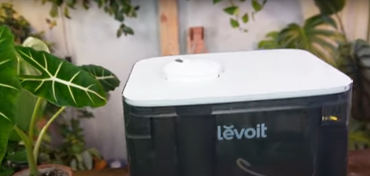 How do you know how much moisture your plants need