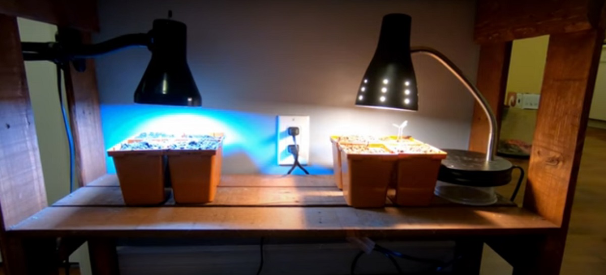 How to make artificial light for plants