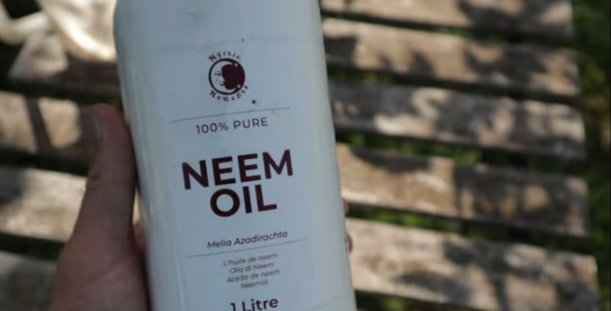 organic nem oil