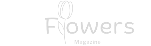 flowersmagazin